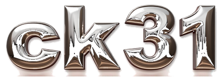 ck31 logo